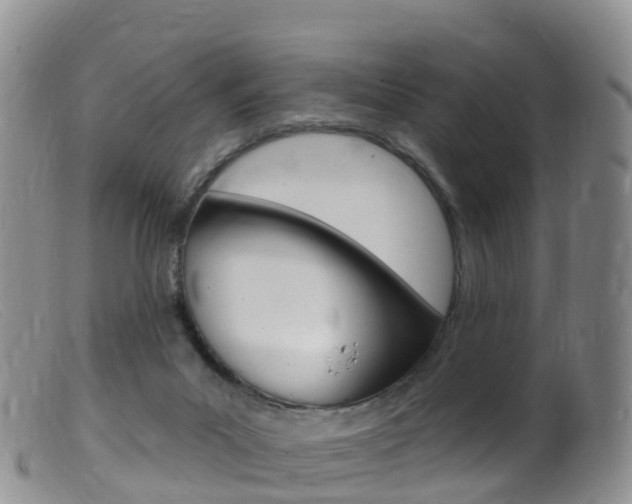 X0000099540023200805160759