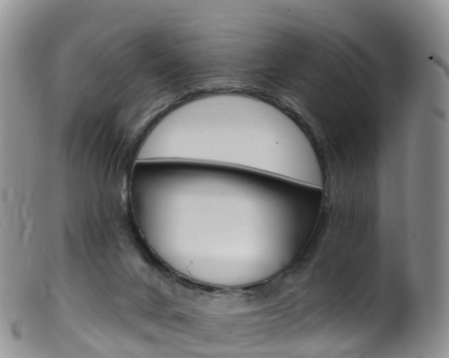 X0000099540024200805160759