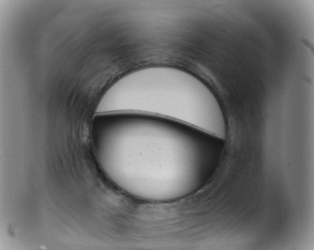 X0000099540025200805160759