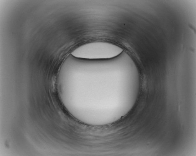 X0000099540026200805160759
