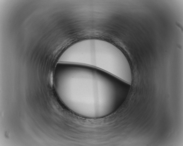X0000099540027200805160759
