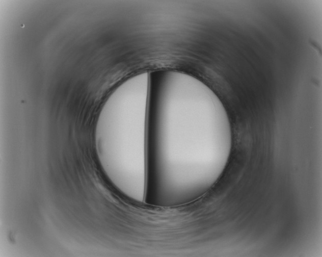 X0000099540028200805160759
