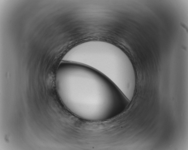 X0000099540029200805160759