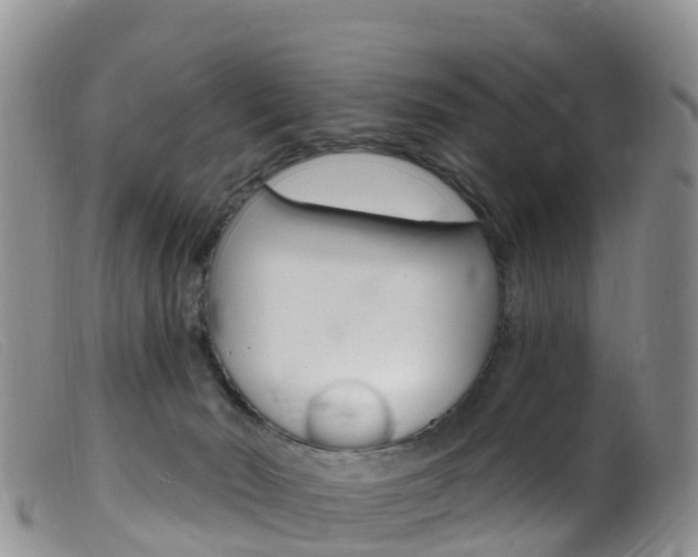 X0000099540030200805160759