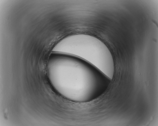 X0000099540031200805160759