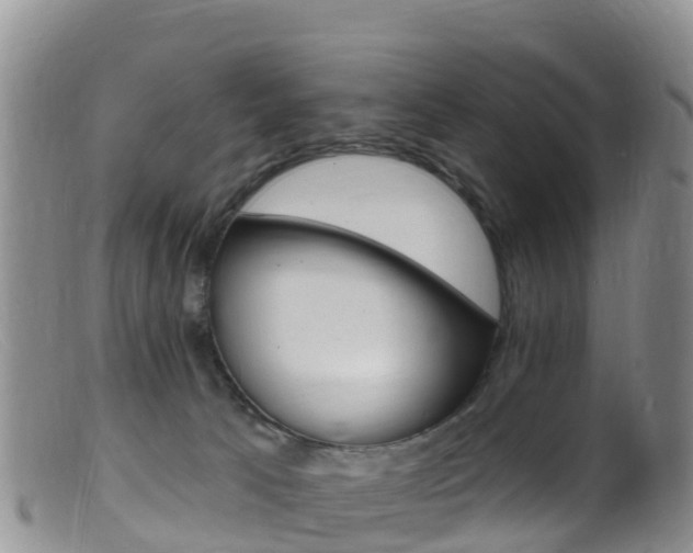 X0000099540033200805160759