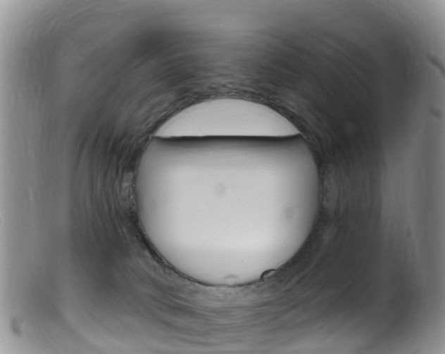 X0000099540034200805160759