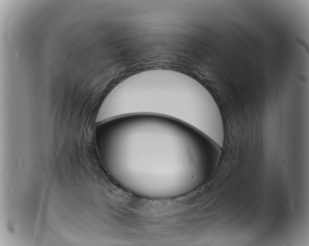 X0000099540037200805160759