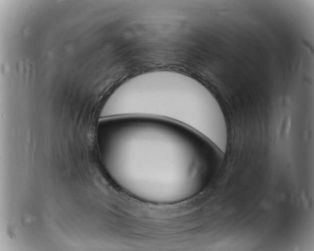 X0000099540039200805160759