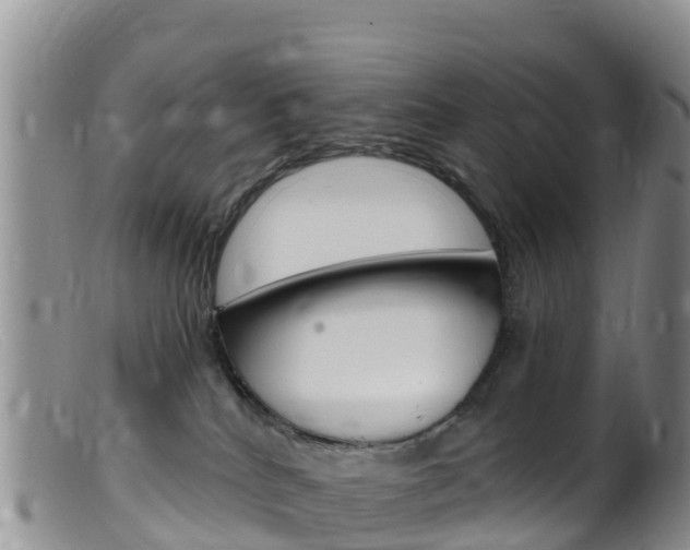 X0000099540040200805160759