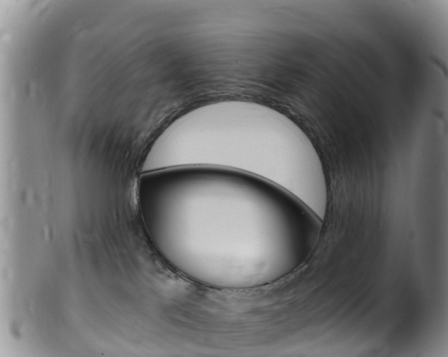 X0000099540041200805160759