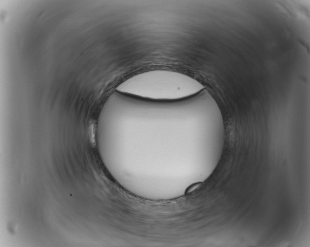X0000099540042200805160759