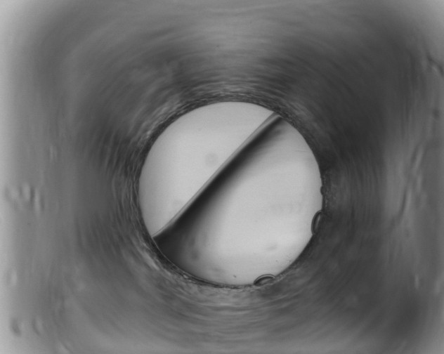 X0000099540044200805160759