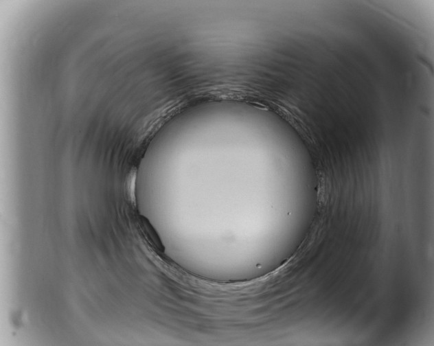 X0000099540047200805160759