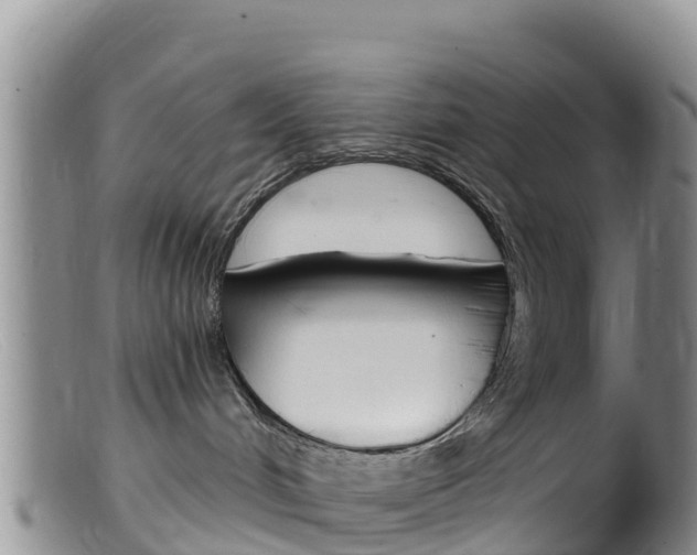 X0000099540048200805160759