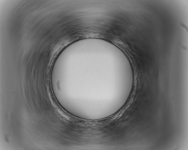 X0000099540049200805160758