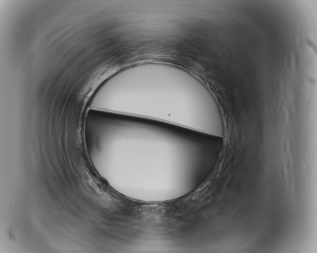 X0000099540050200805160758