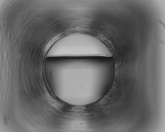 X0000099540051200805160758