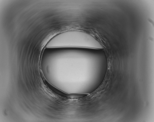 X0000099540052200805160758