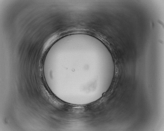 X0000099540053200805160758
