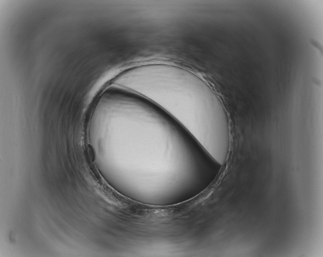 X0000099540056200805160758