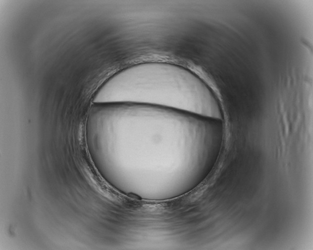 X0000099540057200805160758