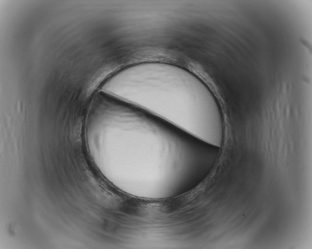 X0000099540058200805160758