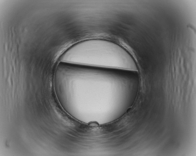 X0000099540059200805160758