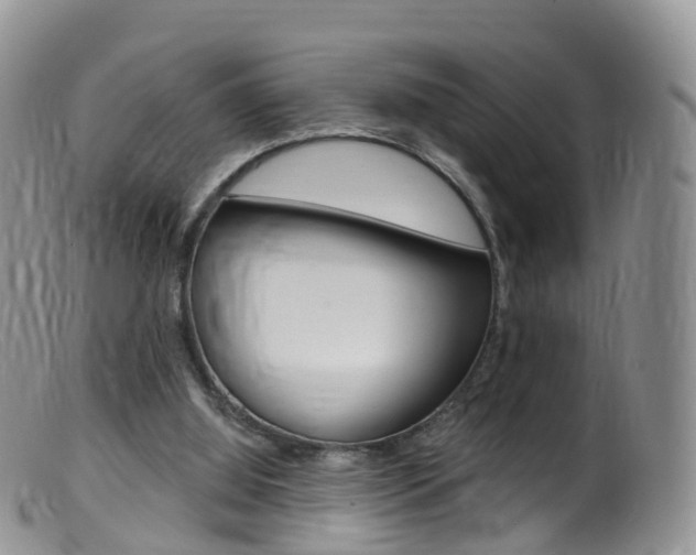 X0000099540060200805160758