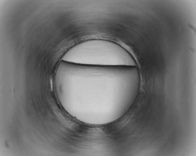 X0000099540061200805160758