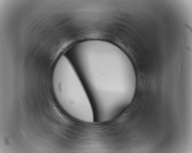X0000099540062200805160758