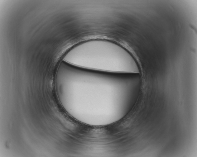 X0000099540063200805160758