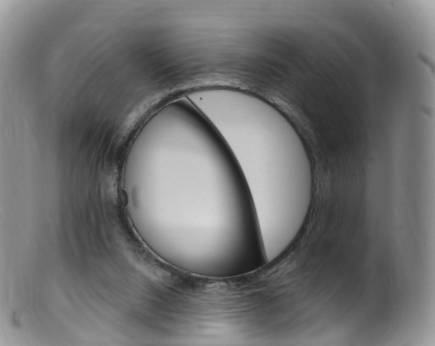 X0000099540064200805160758