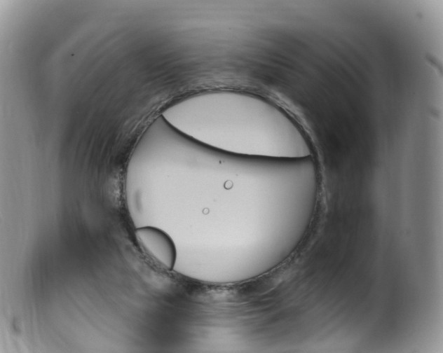X0000099540065200805160758