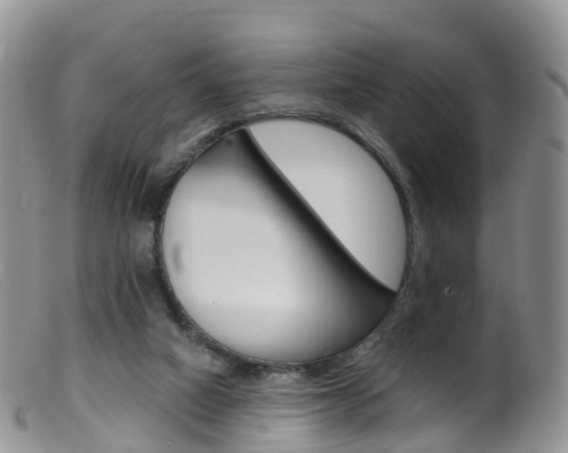 X0000099540066200805160758