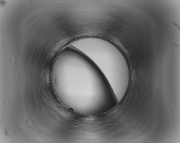 X0000099540068200805160758