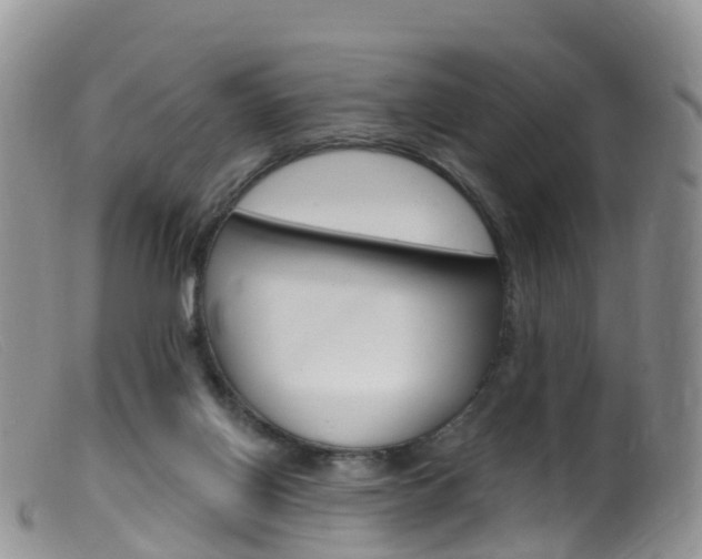 X0000099540070200805160758
