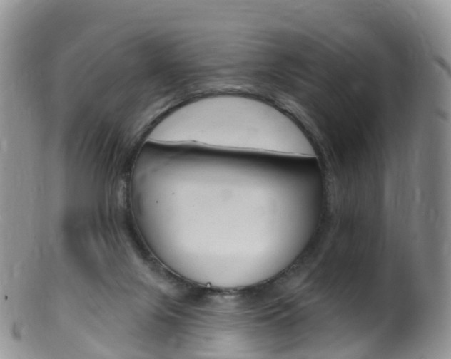 X0000099540071200805160758