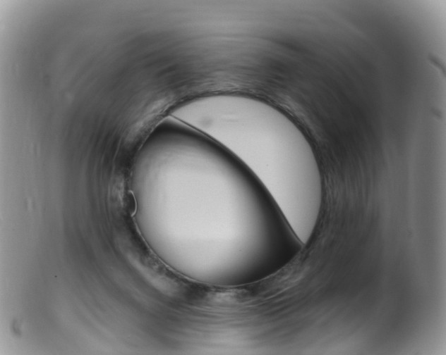 X0000099540072200805160758
