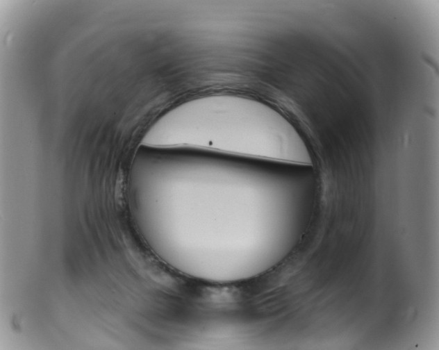 X0000099540073200805160758