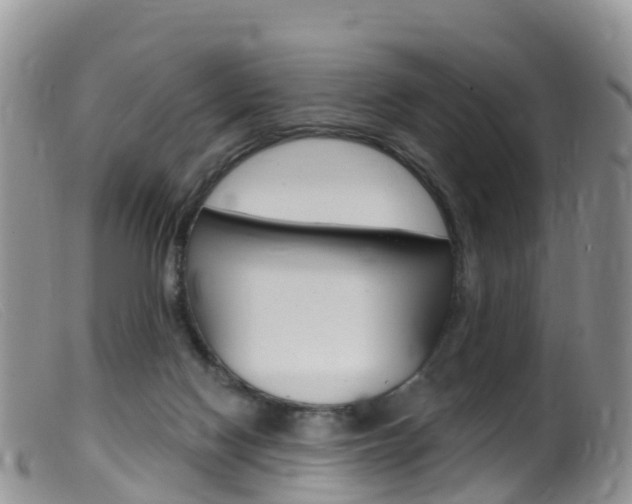 X0000099540074200805160758