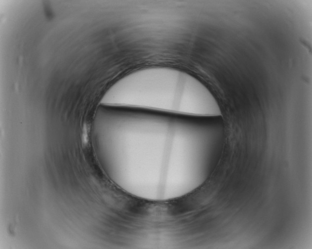 X0000099540075200805160759