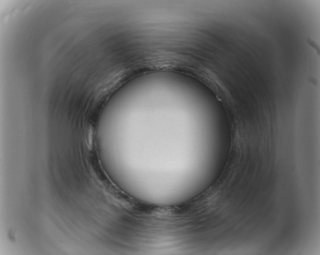 X0000099540076200805160759