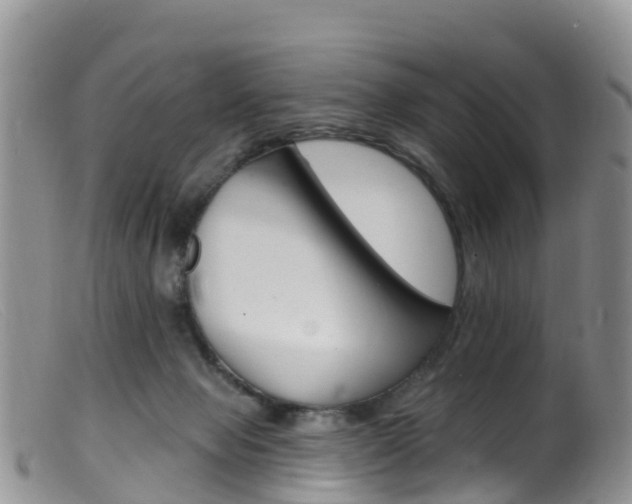 X0000099540077200805160759