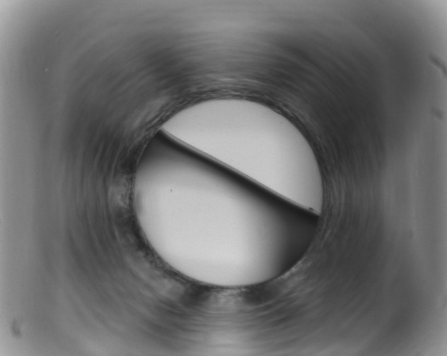 X0000099540078200805160759