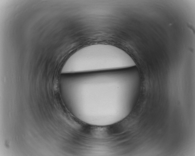 X0000099540081200805160759