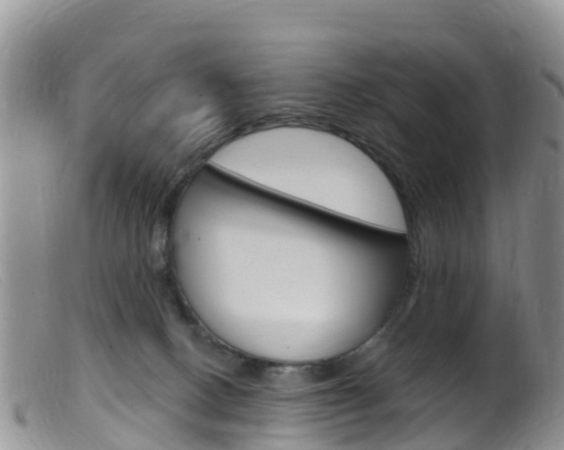 X0000099540082200805160759