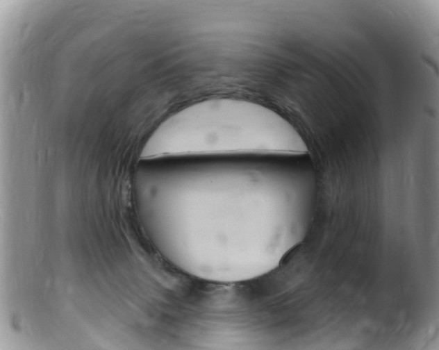 X0000099540083200805160759