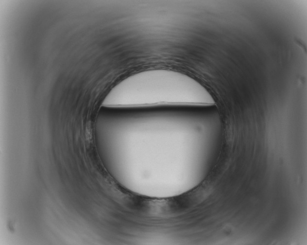 X0000099540085200805160759