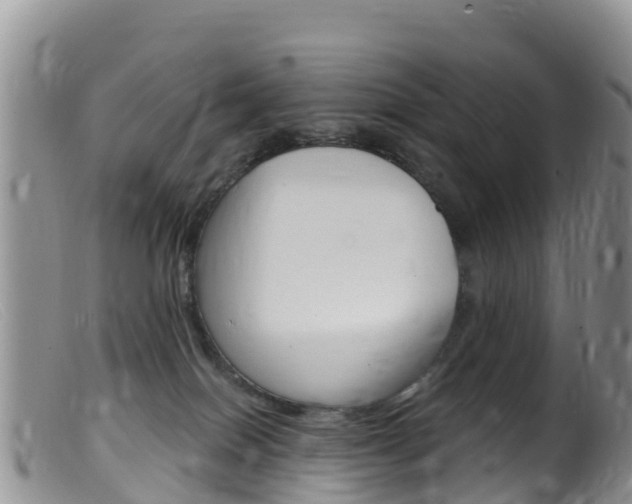X0000099540086200805160759